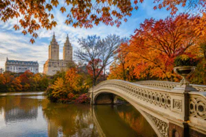 new york city top 10 places to see